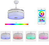 Colors Light Ceiling Fan