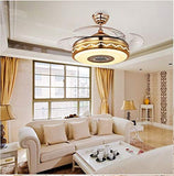 Modern Ceiling Fan and Lamp