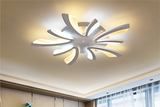 Modern LED Ceiling Lamp